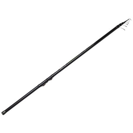 The float rod with the rings of Salmo Elite Bolognese Medium M, test 3-20 g, length 6 m.
