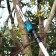 Dawed chain battery Makita UA004gz, telescope. bar, 40 V, 12 "/30 cm, without batteries/zh