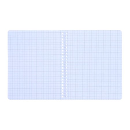 Notebook of 48 sheets in a cage on the crest "Professionals", cover coated cardboard, an offset block 65g/m2, mix-5
