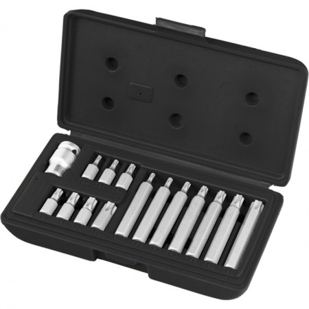 Set Stels 11315, Torx, a hexagonal shank 10 mm, T20 - T55, 15 pcs.-1