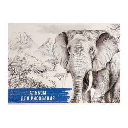 Album for drawing A4, 32 sheets on the board "Elephant", cover Cover Cardboard, block 100 g/m²
