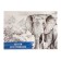 Album for drawing A4, 32 sheets on the board "Elephant", cover Cover Cardboard, block 100 g/m²