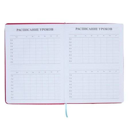 School diary for grades 5-11, PVC cover, Neon, fuchsia-6