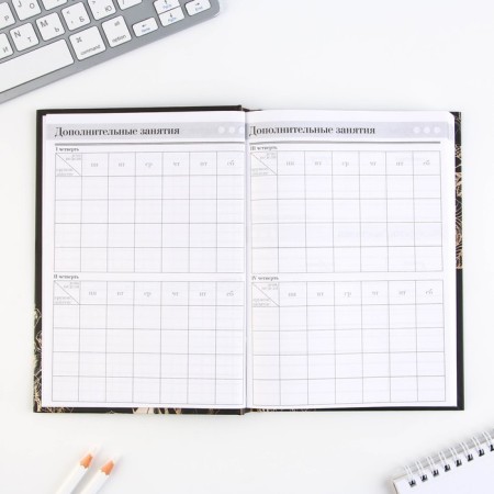 Set "Golden Teacher": A5 diary A5 160 sheets, planing 50 sheets and pen Plastic-6