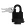 Lockland hinged lock, 30 mm, moisture -proof, short handle, 2 keys, black color