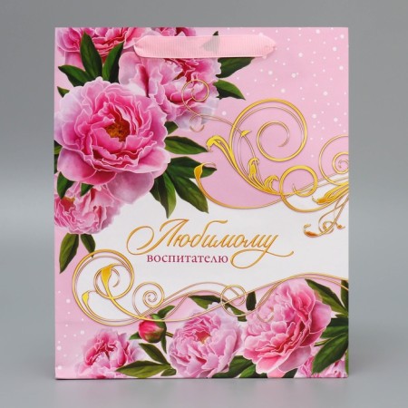 Gift Package Laminated, Packaging, “Educator”, ML 21 x 25 x 8 cm-5