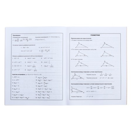 Universal diary for grades 1-11, 48 sheets "Crazy Panda", soft cover, selective UV-fluid, matte lamination-9