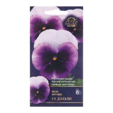 Viola flowers 