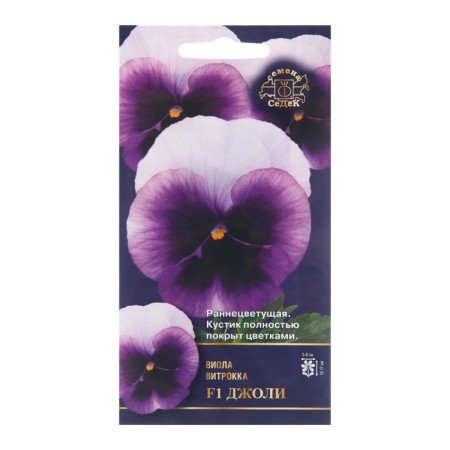 Viola flowers "Jolie", Euro, 5 pcs