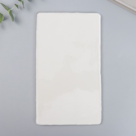 Mold Silicon "Palm leaves" 5 objects 20x12.4 cm-2