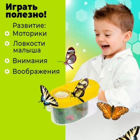 Set for research "Young Biologist", tweezers, lupa, insect jar-3