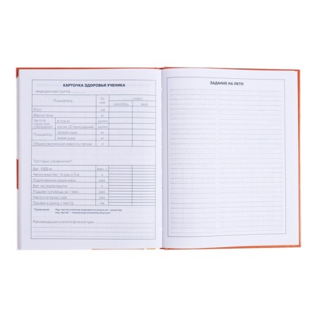 Diary for grades 1-4, hard cover "Fluffy cats", glossy lamination, block 60g/m²-11