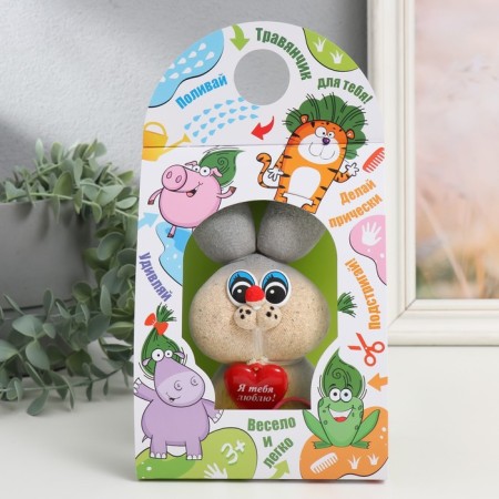 Growing gift grass "Hare gray"-4