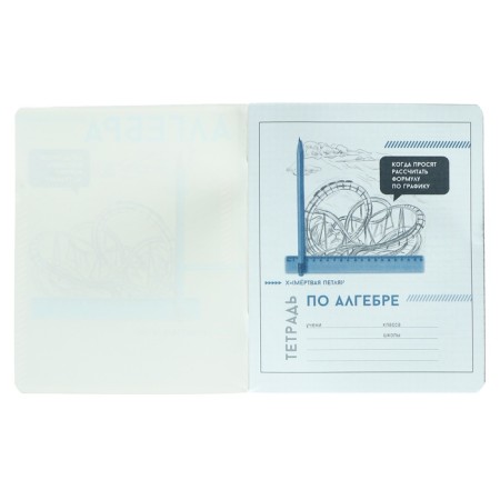 A notebook “Bright details”, 48 sheets in the “Algebra” cage, covered cardboard, selective twin-lak, UV-lak, OFSET block-1
