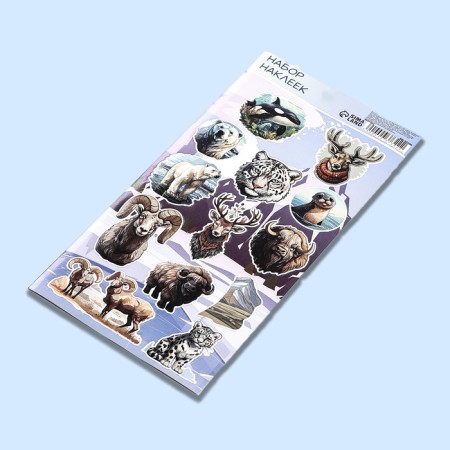 Paper children's stickers 10 x 22 cm, "North"-1