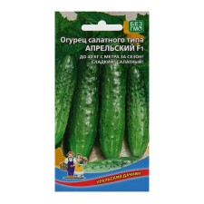 Cucumber April F1, early -grown, parthenocarpic, 10pcs