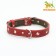 Collar combined leather/tarpaulin, dimensionless, 56 x 2.5 cm, Osh 25-51 cm, red