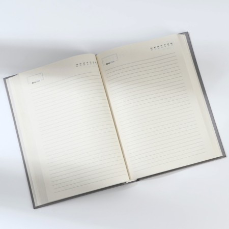 Deliciper of Leduced A5, 160 liters. Solid cover. Leatherette. Grey. Cream block-6