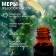 Essential oil "Pine" 10 ml with a pipette