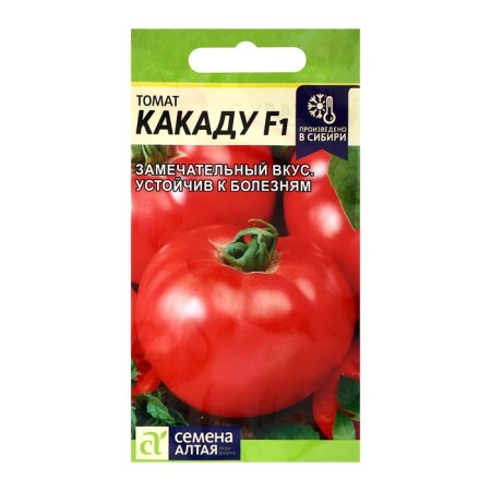 Seed Tomat Caccadus F1, C/P, 10 pcs.