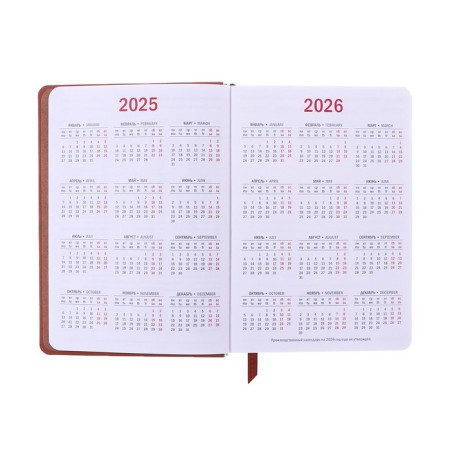 Dated diary of 2025, A6+, 176 sheets "Lyon", solid cover, pancake embossing, with liesa, block 80 g/m2, brown-6