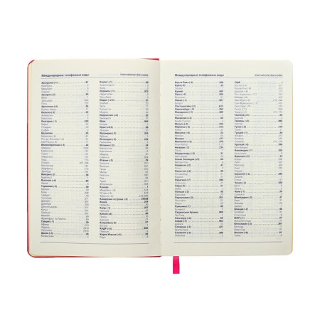 Leduced Diary A5, 140l, cell, leatherette, elastic band, yellow cut, fuchsia-7