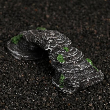 Shelter for terrarium for cliffs, 15.5 x 7 x 4 cm-2