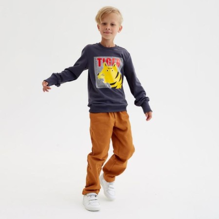 Svitshot for the boy Minaku: Casual Collection Kids graphite color, height 152-3