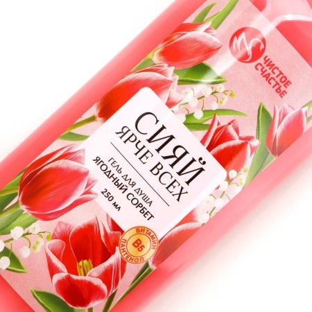 Shower gel Pure happiness “shining brighter”, 250 ml, aroma berry sorbet-3