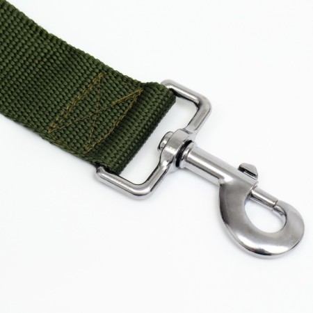 Leash 3 m x 4 cm, green-1