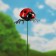 Set of plugs "God's ladybug", 2pcs, 40cm