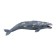 Figure "World of Marine Animals: Gray Whale"