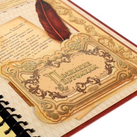 The genealogy book "Family History", 30 sheets, 24.5 x 29.2 cm-10