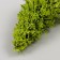 Artificial plant for creativity plastic "spruce" light green 10 cm
