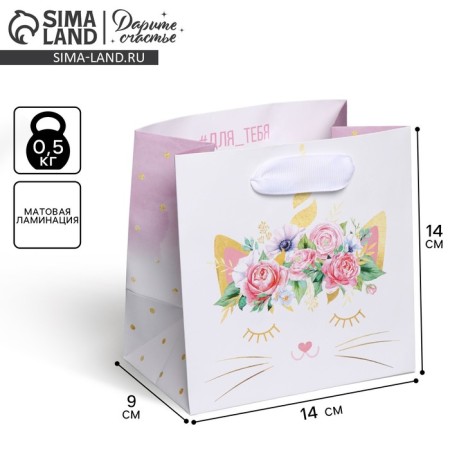 Gift Laminated Square, Packaging, "Cat - Sice", 14 x 14 x 9 cm