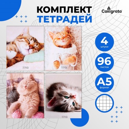 A set of notebooks of 4 pieces, 96 sheets in the Calligrata "cats" cage, covered cardboard, offset block