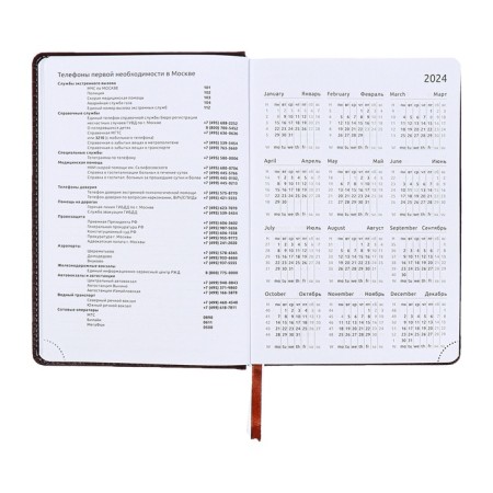 Dated diary 2024, A5, 176 sheets, Attomex.croco, Cover Artificial Leather, Lasse, Blok 70 g/m2, brown-7
