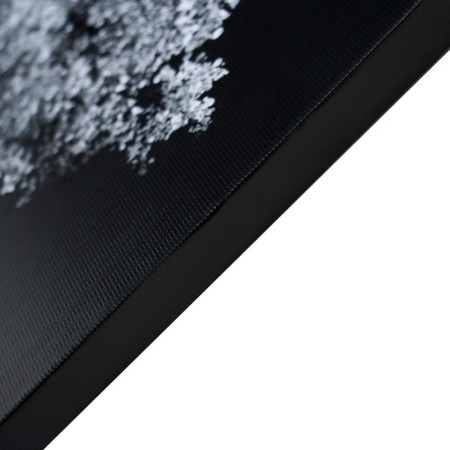 Picture on canvas "Black and white night" 50*70 cm-1