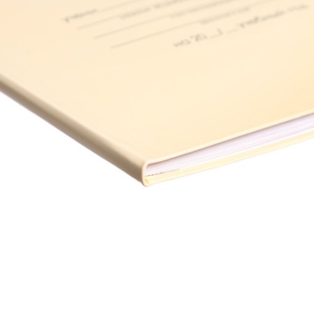 Universal diary for grades 1-11, "beige delicate plain", integral (flexible) cover, glossy lamination, 40 sheets-2