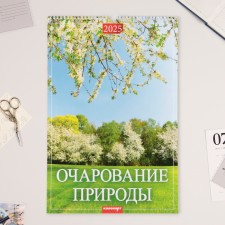 The calendar of the Overcoding on the cross 