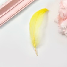 Filler of feathers for balls and gifts, gold with glitter, 10-12cm 8 g