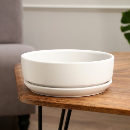 Pot of the Bonsian "OGMA" White, 2 l