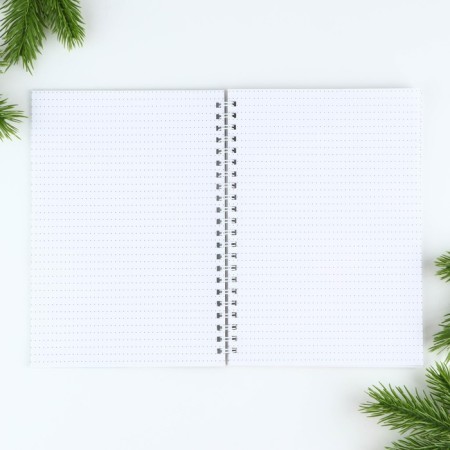 New Year. Diary in the gift box "Northern Post"-1