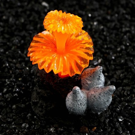 Decor for the Aquarium "Coral on the platform" Silicon, 6 x 4 x 7 cm, orange-3