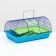 A semicircular rodent cell with a plastic shelf and ladder, 36 x 24 x 22 cm Mix of flowers