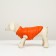Dog jacket two -sided with print, size 8 (ds 23 cm, og 30, og 22 cm), coral