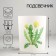 Climb "Botany. Dandelion" 9.3x7.7 cm, 240 ml