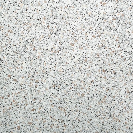 Countertop, 800x600x26 mm, shells-2
