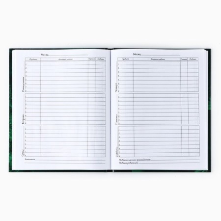 School diary for grade 1-11, in a solid cover, 40 l. "Emerald marble"-3