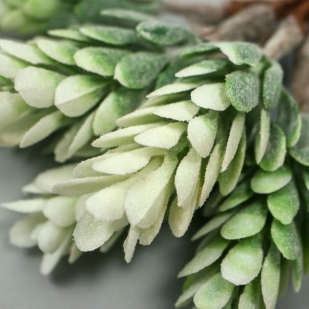 Artificial succulent for creating a florarium "Hall" 1 bouquet = 6 branches of hoar 13 cm-3